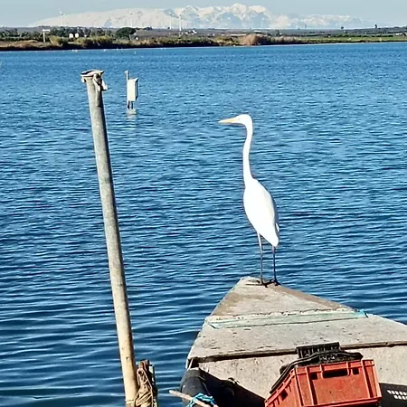 بيت للعطل L'isola