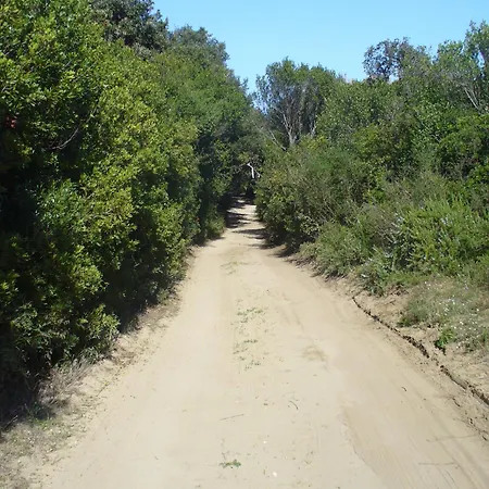 بيت للعطل L'isola *