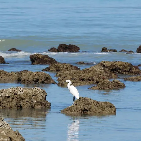 L'isola بيت للعطل ليزينا