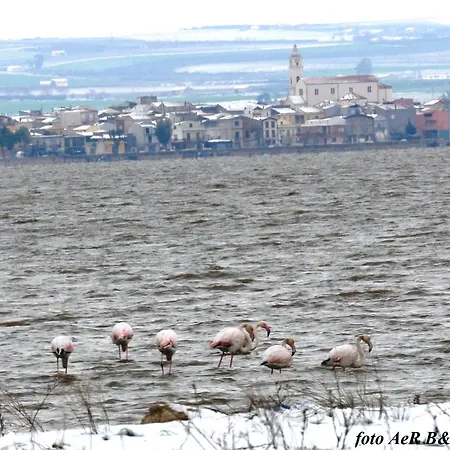 L'isola * Lesina