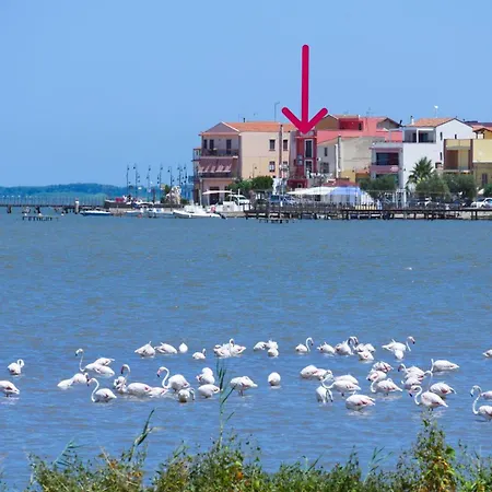 بيت للعطل L'isola *
